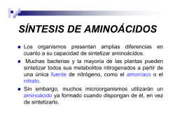 síntesis de aminoácidos - Profesora Maribel Arnes