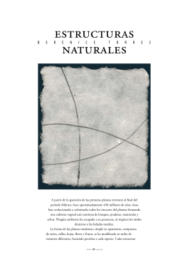 estructuras naturales - Difusión Cultural UAM