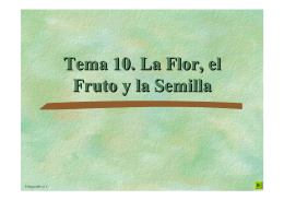 Tema 10. La Flor, el Fruto y la Semilla Tema 10. La Flor, el Fruto y la
