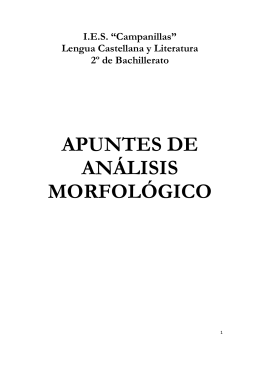 APUNTES DE ANÁLISIS MORFOLÓGICO