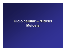 Ciclo celular – Mitosis Meiosis