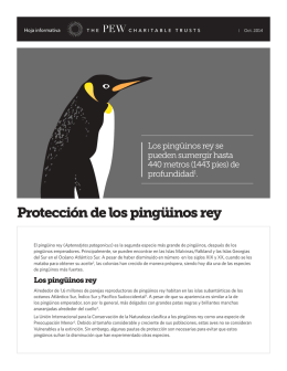 Protección de los pingüinos rey