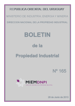 Boletín de la propiedad industrial Nº 165