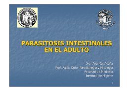 Parasitosis intestinales en el adulto