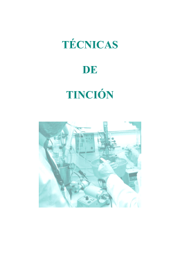 TÉCNICAS DE TINCIÓN