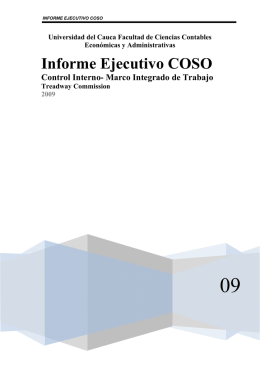 Informe Ejecutivo COSO - preparatorioauditoria