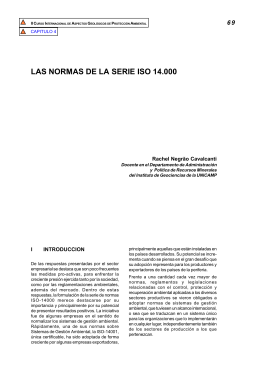 LAS NORMAS DE LA SERIE ISO 14.000