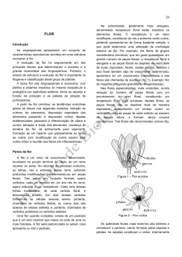 Flor - Anatomia Vegetal