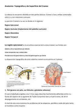 Anatomia clinica de Craneo y cuello PDF