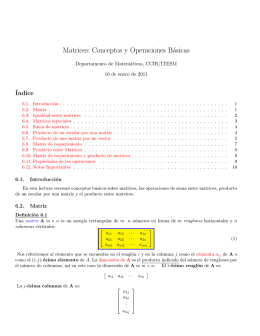 Matrices: Conceptos y Operaciones Básicas