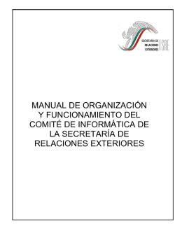 manual de organización y funcionamiento del comité de informática