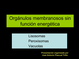Orgánulos membranosos sin función energética (lisosomas