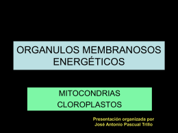 ORGANULOS MEMBRANOSOS ENERGÉTICOS