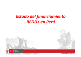 01 Peru x - The REDD Desk