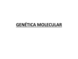 genética molecular - Secundaria – Ciencias