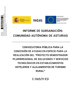Informe resultado subsanación Asturias