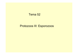 Protozoos esporozoos - Revisiones de Ogma 9000