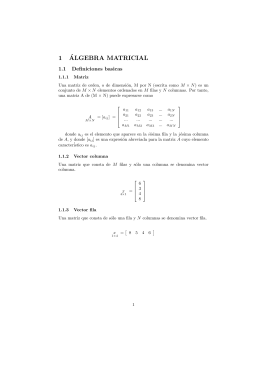 1¶algebra matricial