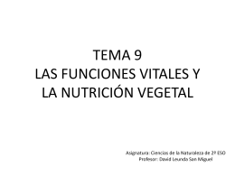 Tema 9-.Las funciones vegetales. La nutrición vegetal
