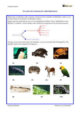 clases de animales vertebrados