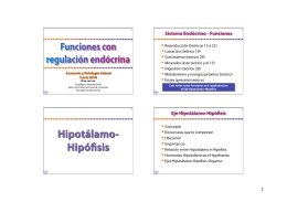 Hipotálamo- Hipófisis - Departamento de Producción Animal y