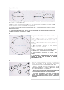 Bloque V: Ciclo celular 1. Los esquemas representan el ciclo de