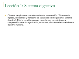 el sistema digestivo - Plataforma E