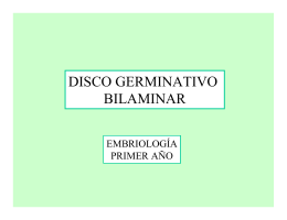 disco germinativo bilaminar