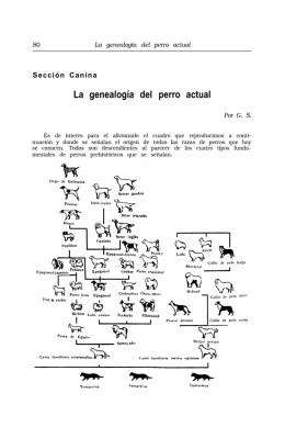 La genealogía del perro actual