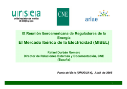 El Mercado Ibérico de la Electricidad (MIBEL)