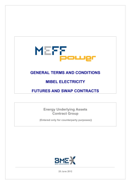 MIBEL Electricity Contracts