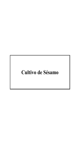 Cultivo de Sésamo - BibliotecaDeaMag