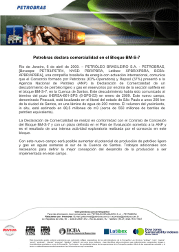Petrobras declara comercialidad en el Bloque BM-S-7