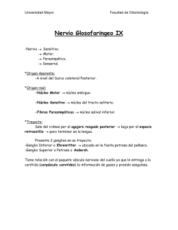 Nervio Glosofaringeo IX