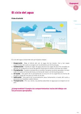 El ciclo del agua - Agence de l`Eau Seine Normandie