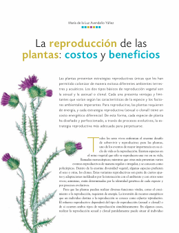 La reproducción de las plantas: costos y beneficios