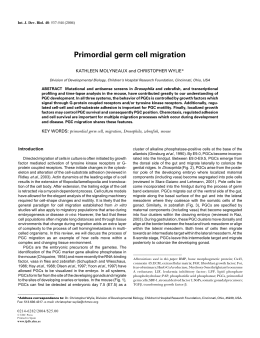 Primordial germ cell migration - The International Journal of