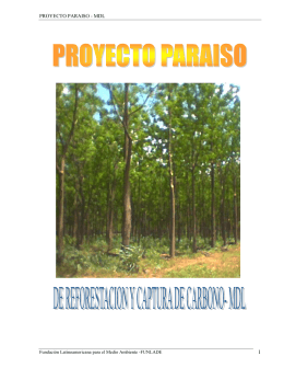 proyecto paraiso - mdl