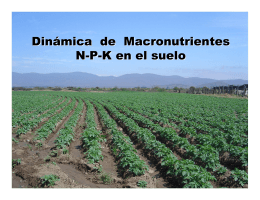 Dinámica de Macronutrientes NPK en el suelo