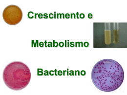 Crescimento e Metabolismo Bacteriano