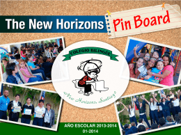 The New Horizons Pin Board