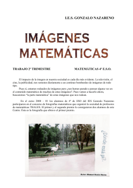 I.E.S. GONZALO NAZARENO - Maths Guadalupe Buendía