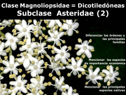 Clase: Asteridae (2da.parte)(Presentación Teórica 2015)