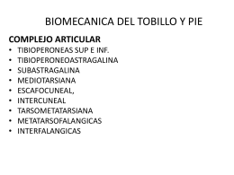 Tobillo y Pie - Dra. Cristina Oleari