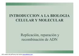 3-Replicacion reparacion y recombinacion de ADN