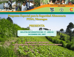 Programa Especial para la Seguridad Alimentaria PESA, Nicaragua