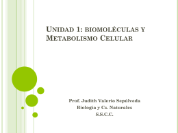 Unidad 1: biomoléculas y Metabolismo Celular
