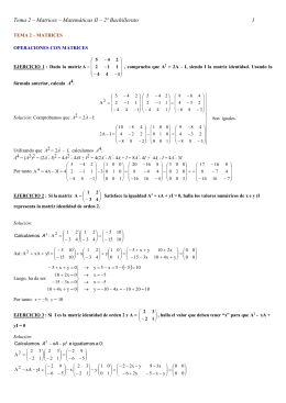 Tema 2 – Matrices – Matemáticas II – 2º Bachillerato 1