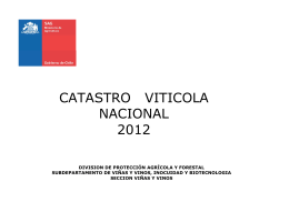 catastro viticola nacional 2012