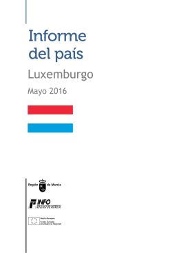 Informe país Luxemburgo. INFO 2013